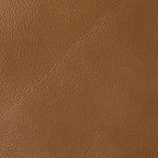 Alicia 32.68 Wide Genuine Leather Manual Recliner